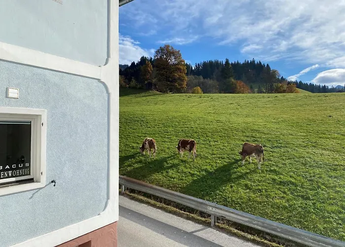 Abacus-ferienwohnung Appartement Hopfgarten im Brixental